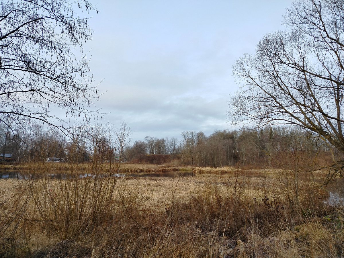 Вдалеке виден древний вал, на котором стояла крепость Опочка