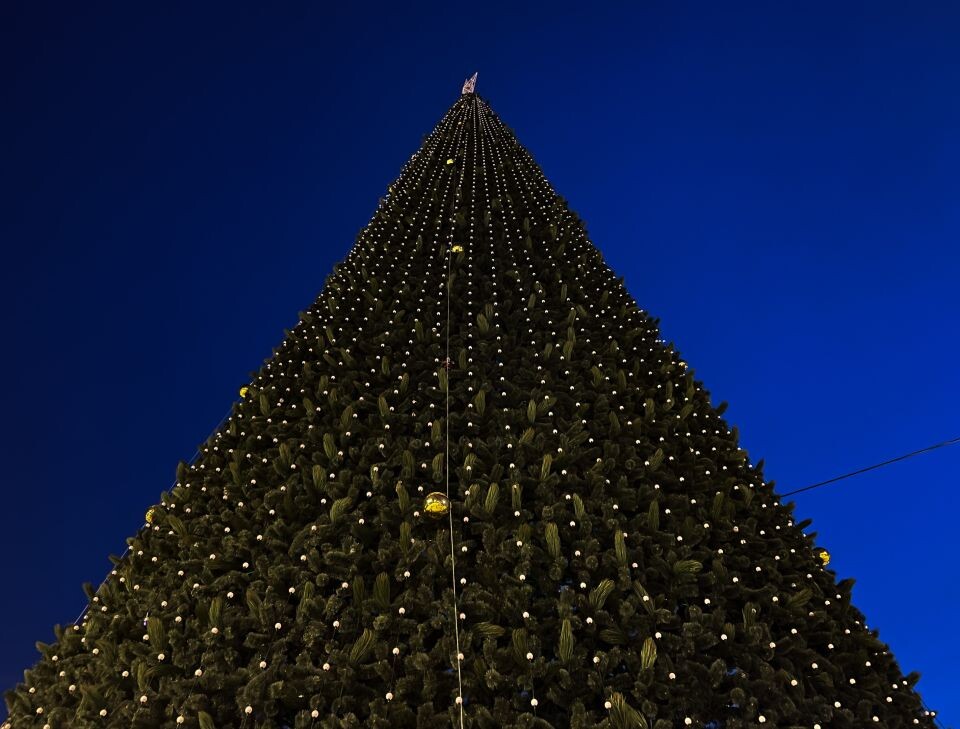    Площадь Сахарова перед Новым годом. Источник: Виталий Барабаш/"Толк"