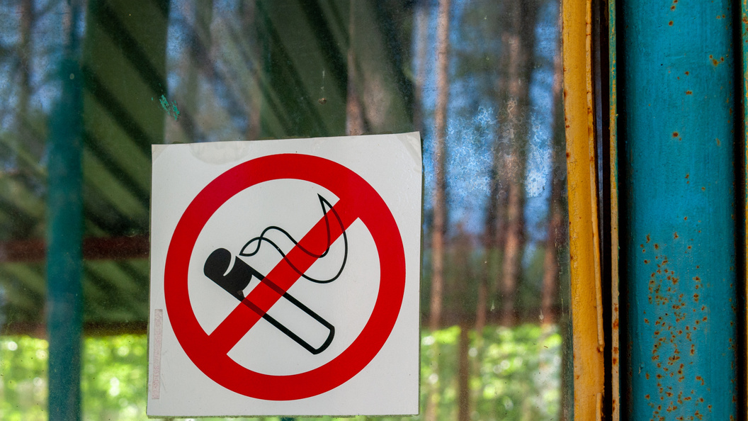    фото: Svetlana Vozmilova/Globallookpress