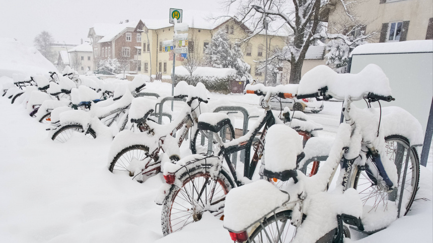    Фото: www.globallookpress.com/Peter Schatz