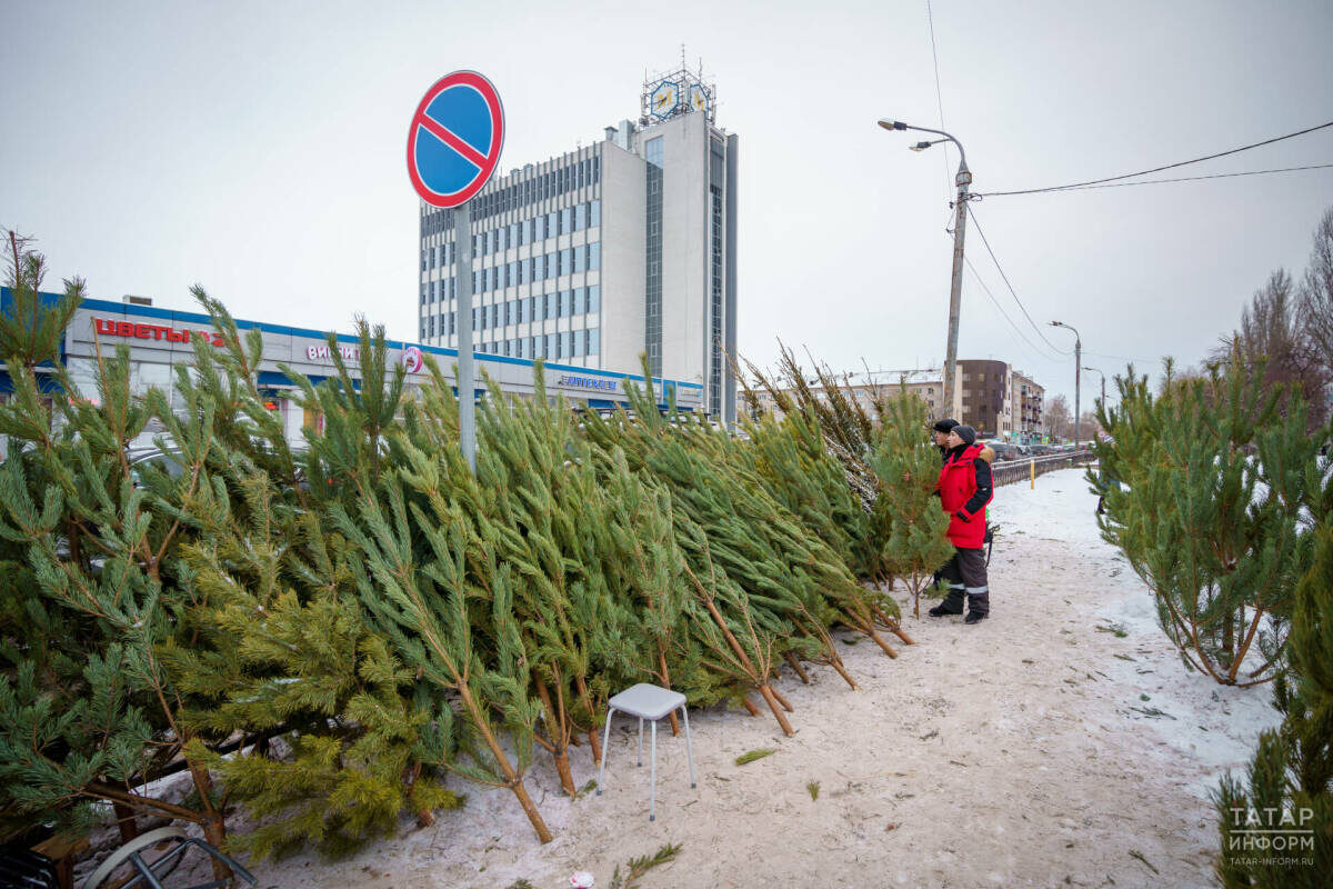 Фото: © Владимир Васильев / «Татар-информ»