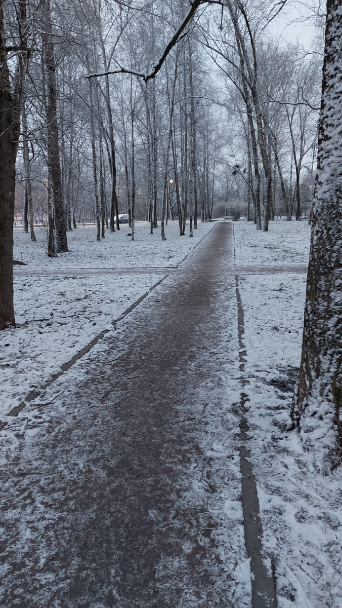 Фото и стих - 06.12.2024г.