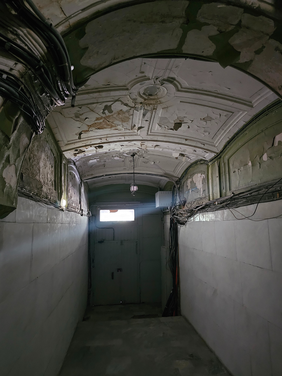 Фото: Парадная гостья