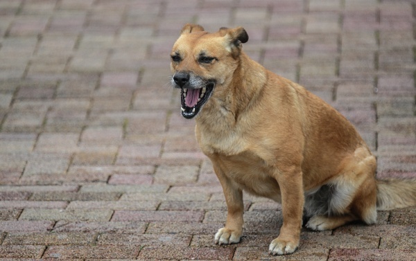 Фото: РИА Новости/Рамиль Ситдиков