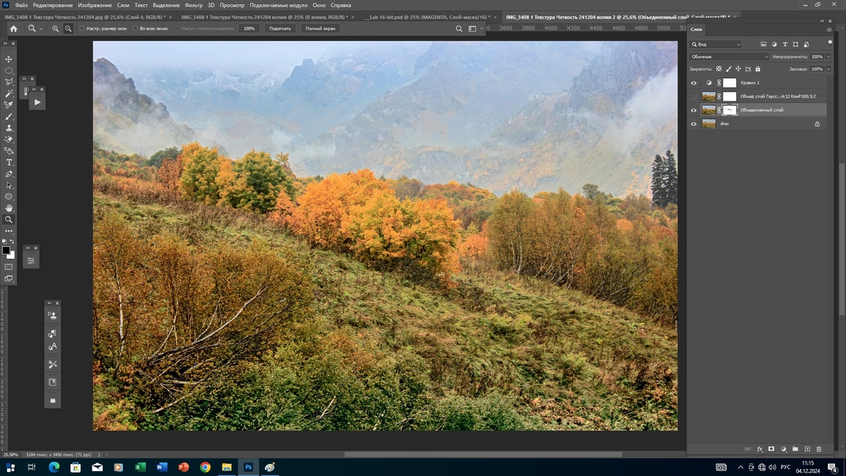 Скрин экрана с результатом работы экшена. На оранжевый куст наложена маска.