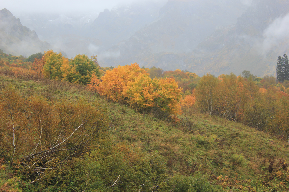 Исходный снимок верховий Мзымты. В тумане крутые склоны ГКХ.