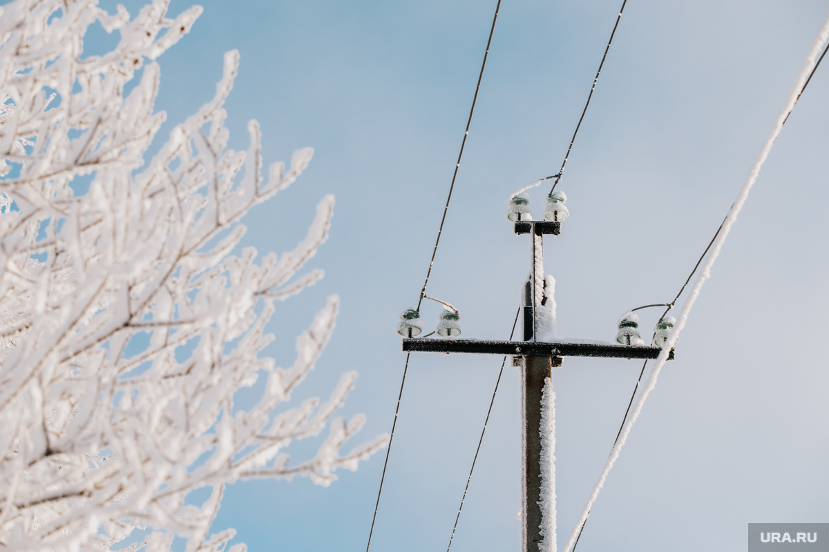 Снег налипал на провода, а падавшие от ветра деревья обрывали линии ЛЭП. Фото: Александр Кулаковский © URA.RU