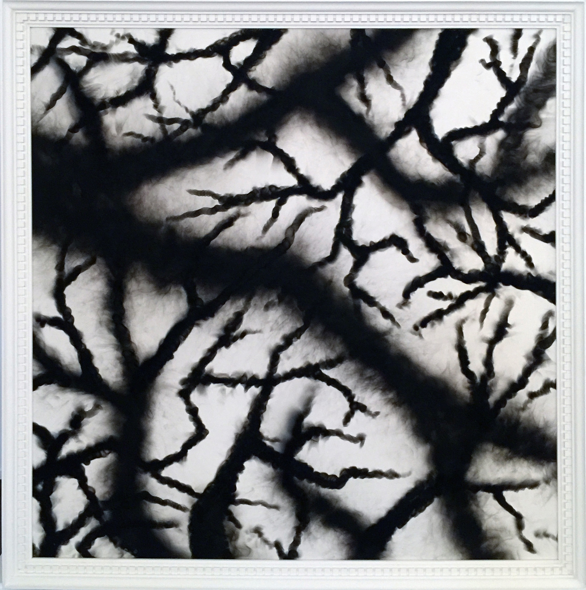    0331с, «Ветви», 2017Архивы пресс-службы