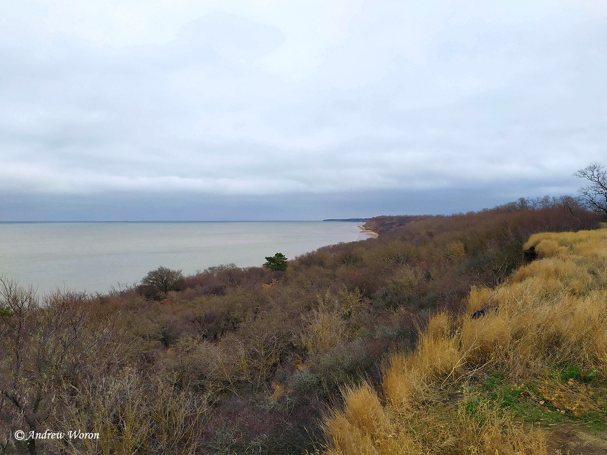 Вид со смотровой площадки на восток, вдоль побережья