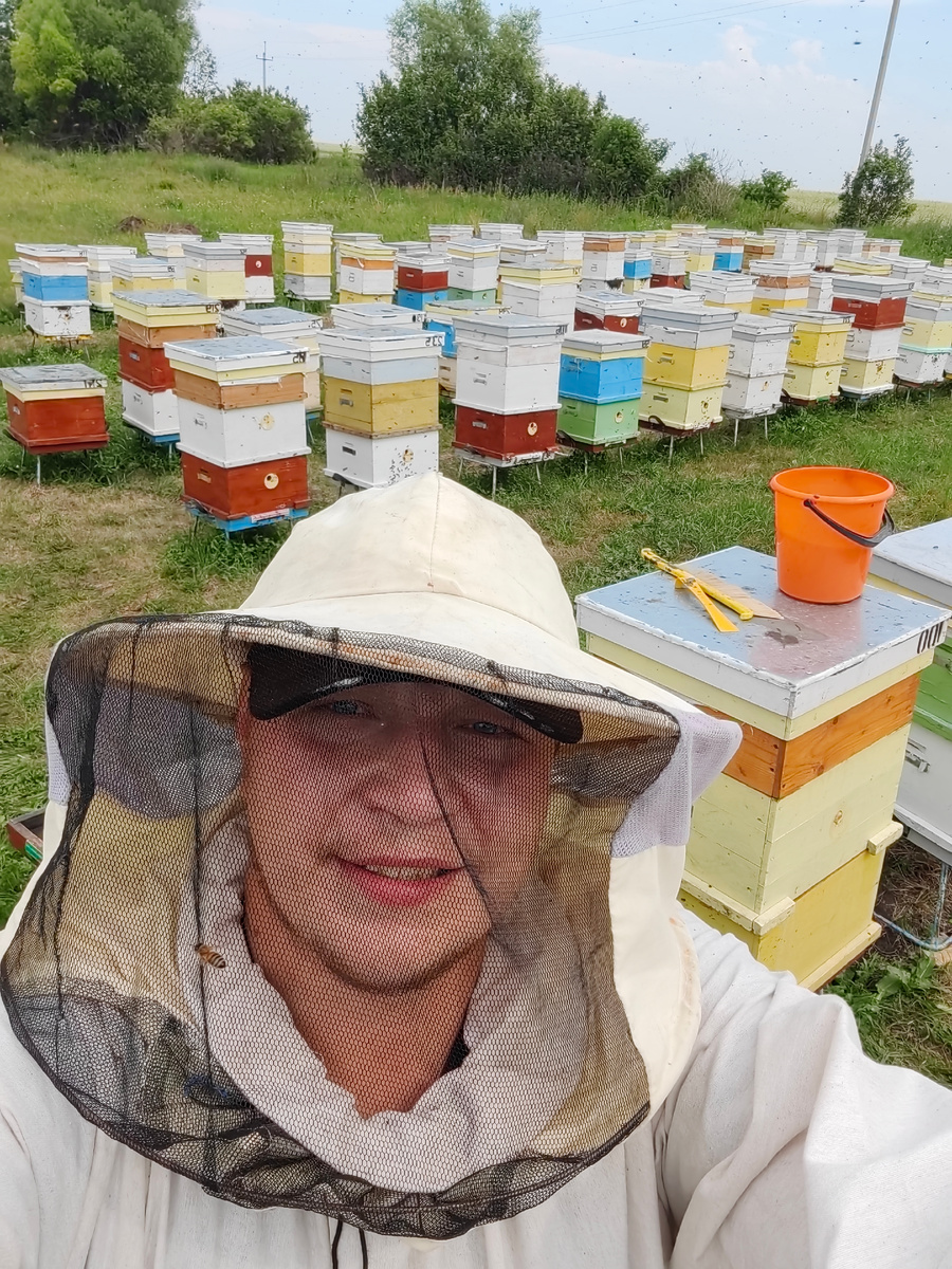 Архивное фото - лето, пасека 2024