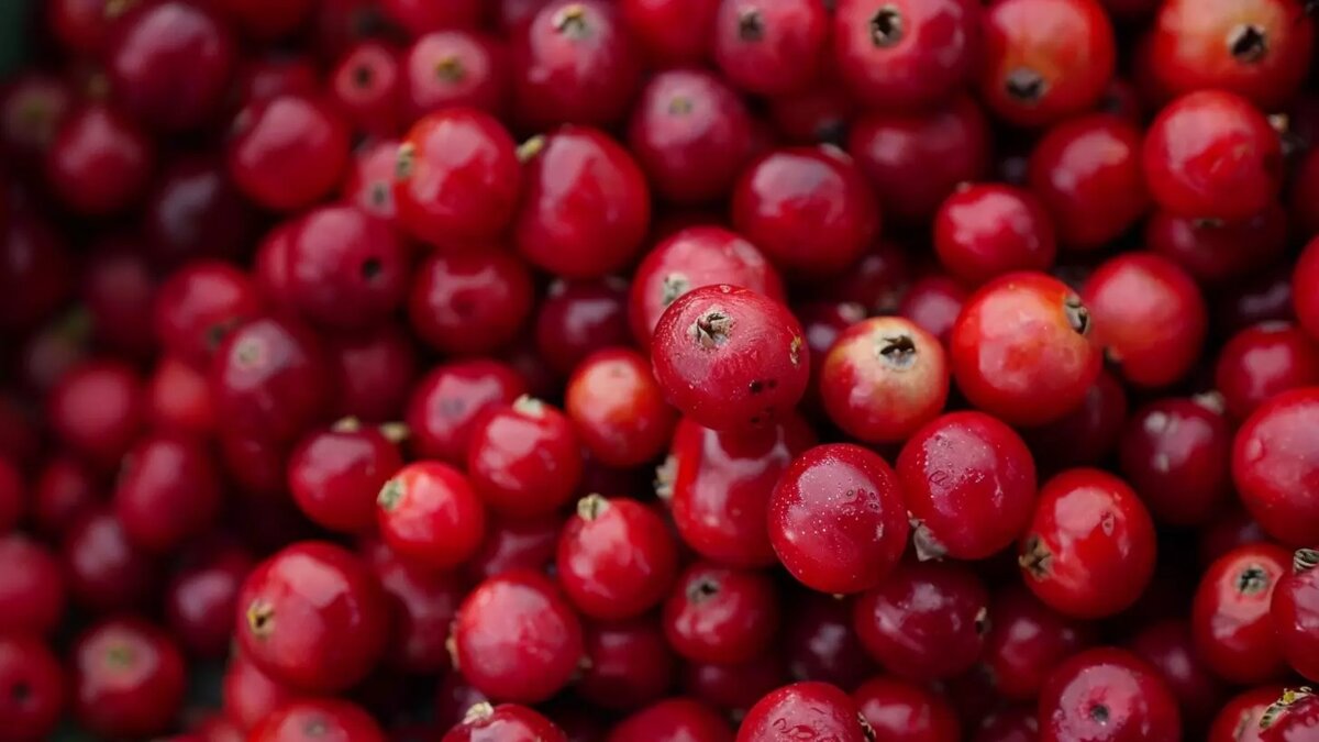     Источник: Изображение Midjourney