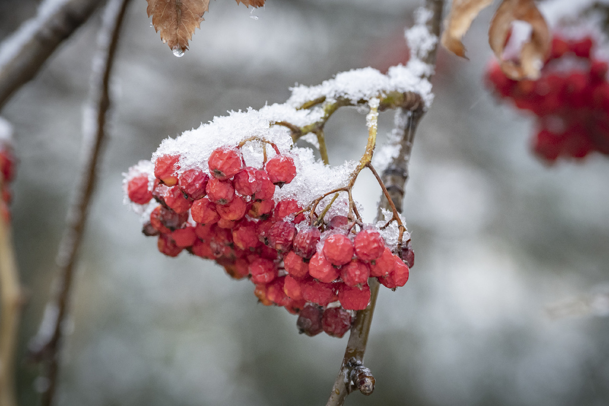Гороскоп на 2025 год. Фото: Global Look Press
