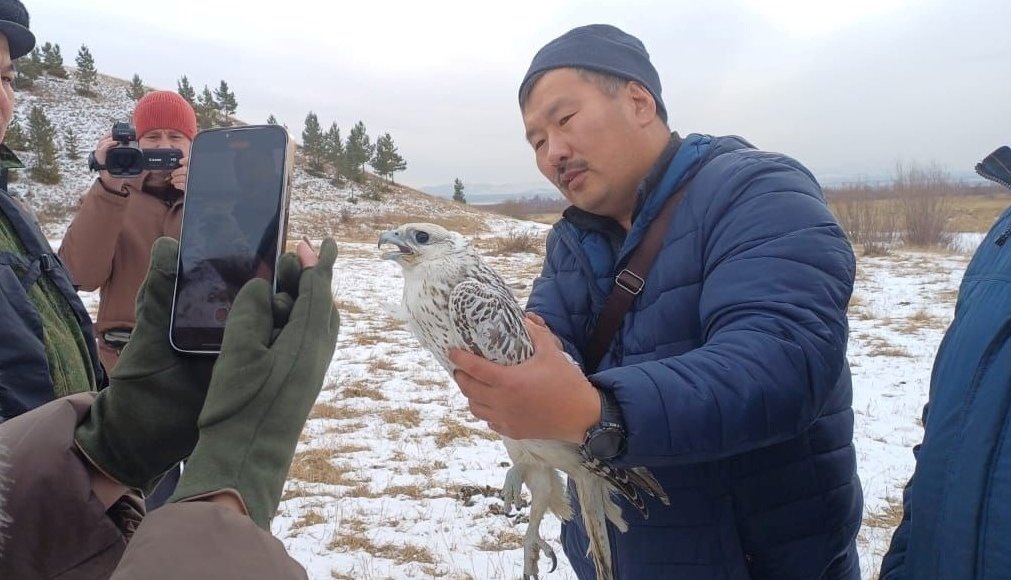    Фото: Росприроднадзор