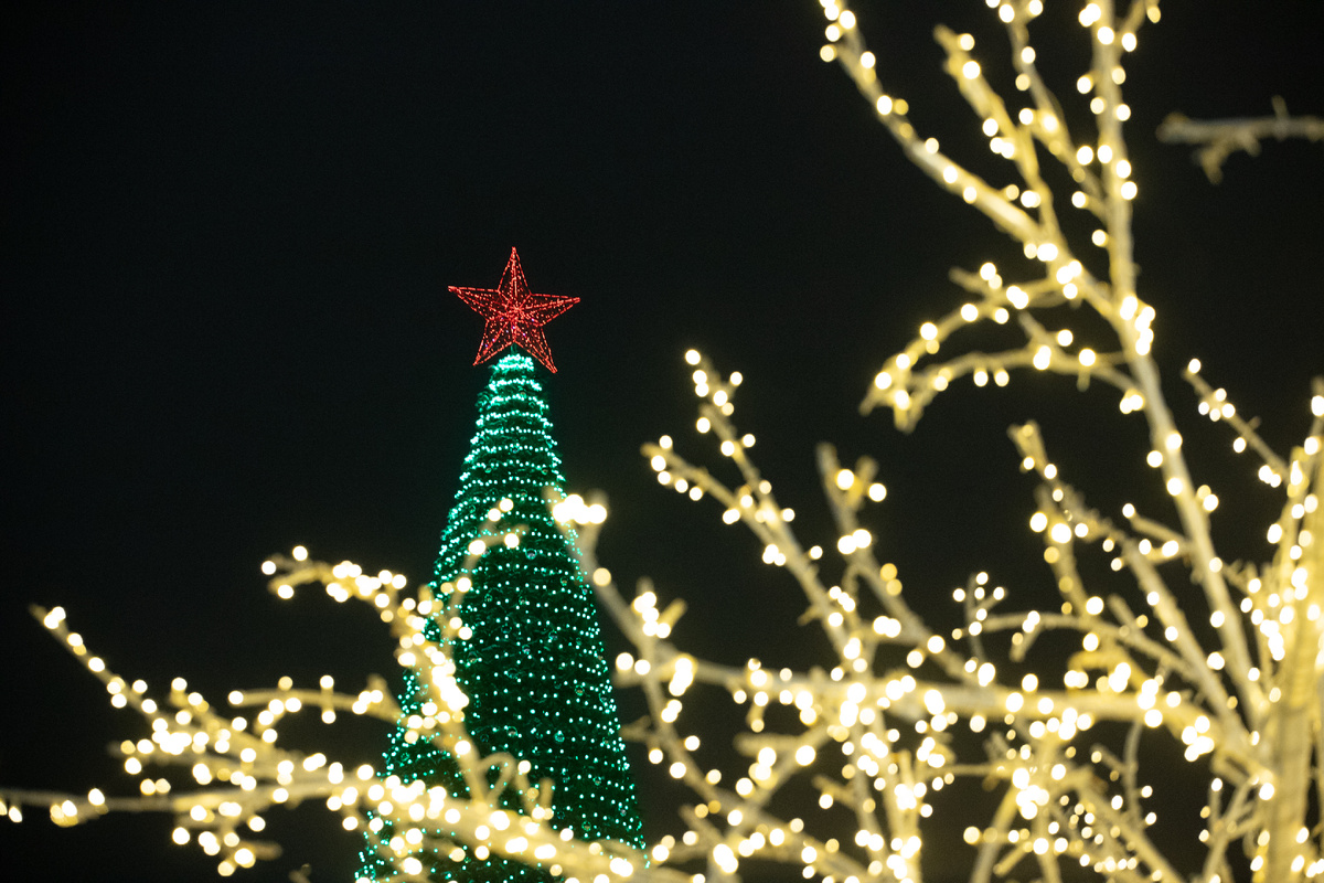 Фото: Тульская служба новостей