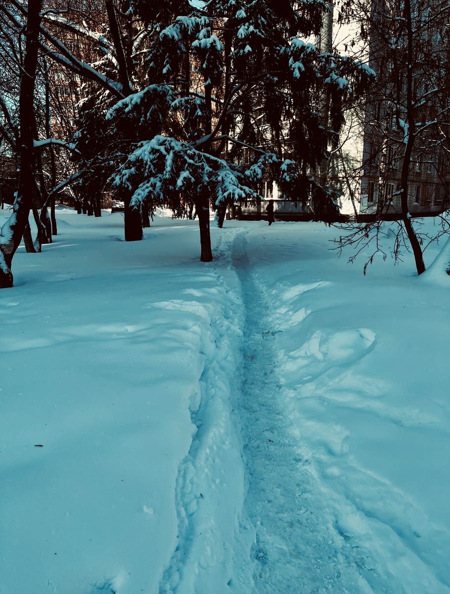 Фото автора