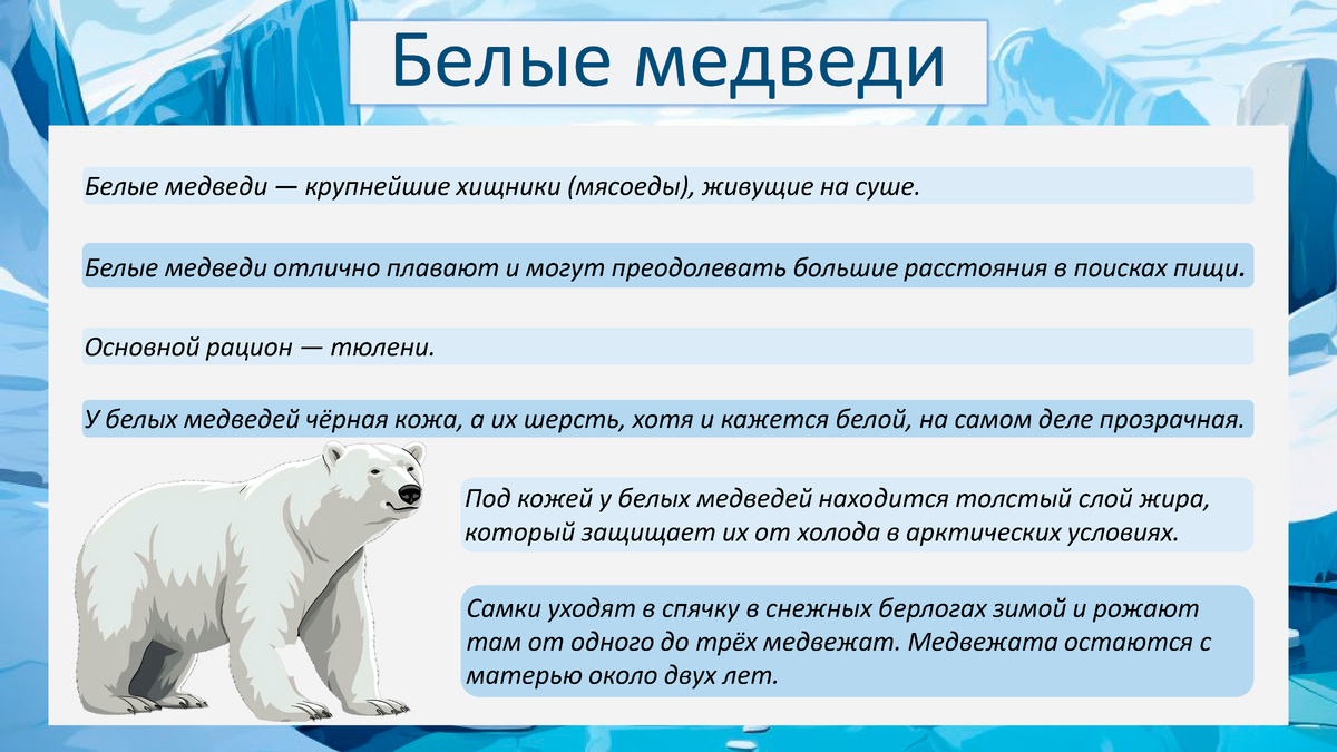 Белые медведи