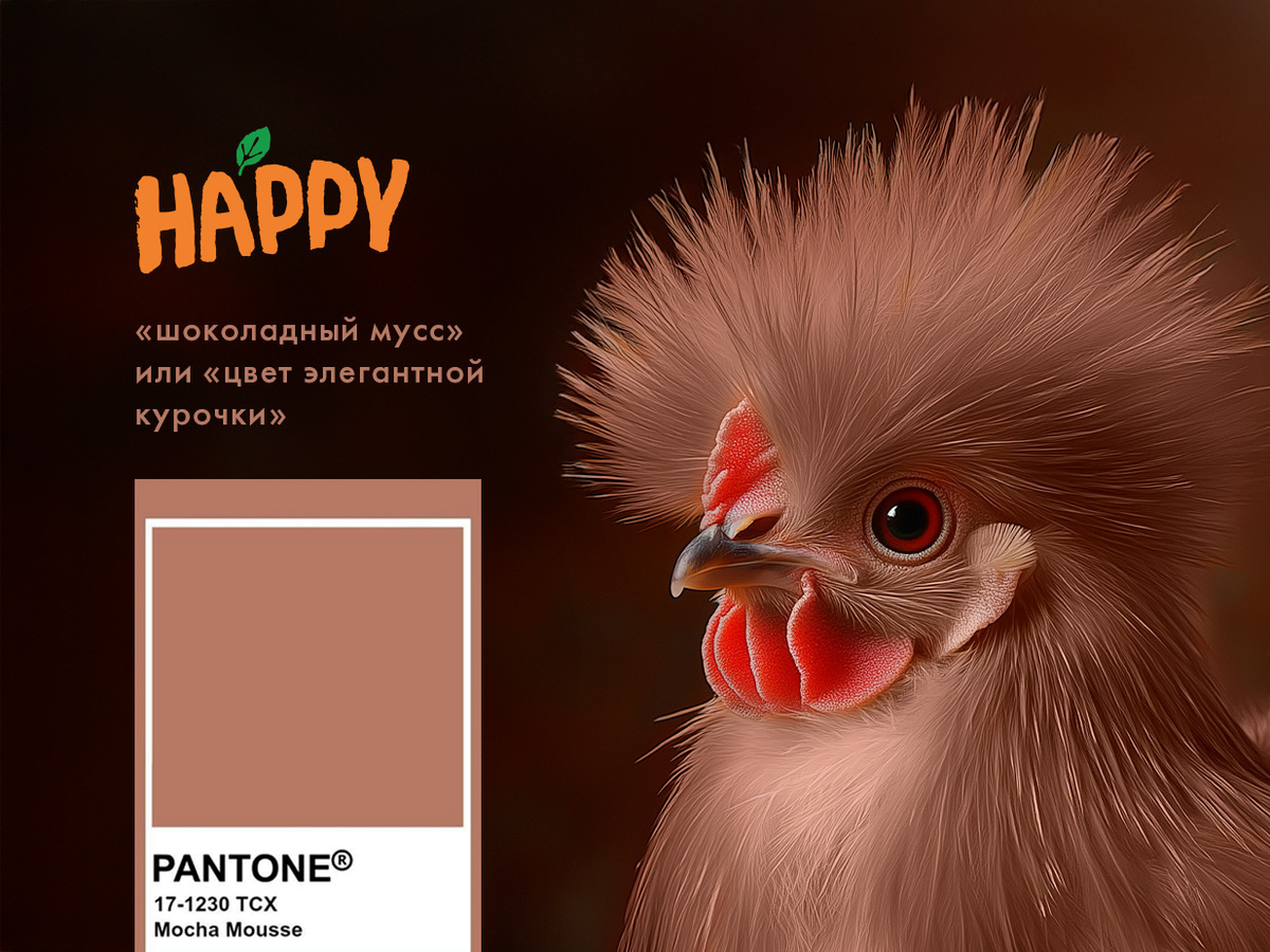 Цвет элегантной курочки