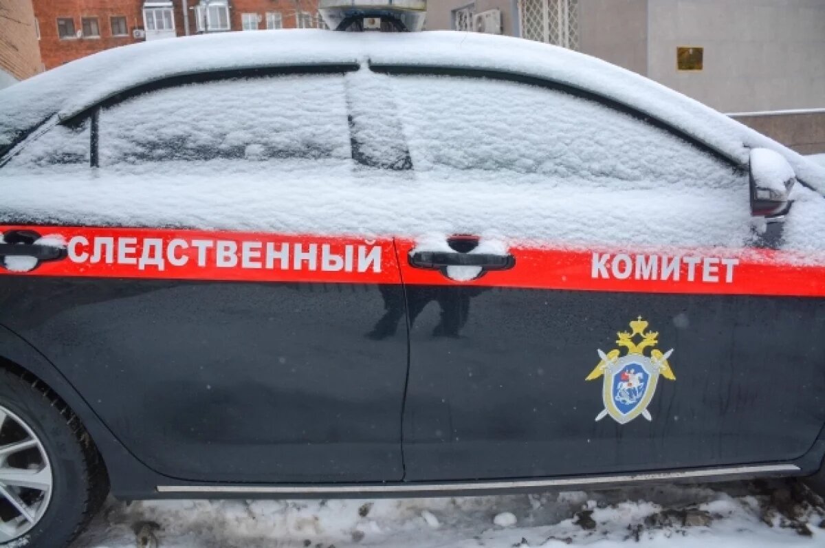    Бастрыкин поручил проверить дома, где проживают тульские сироты