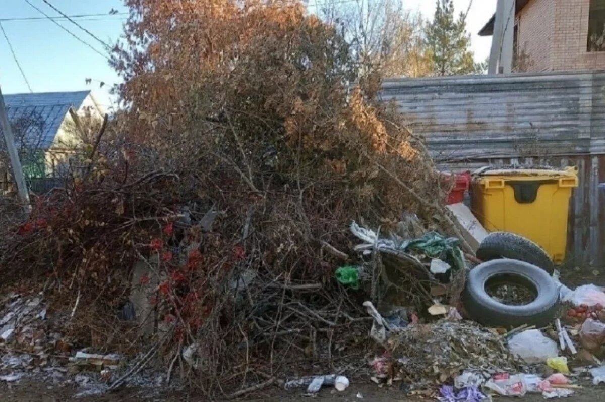    Разработан алгоритм ликвидации навалов в местах сбора ТКО