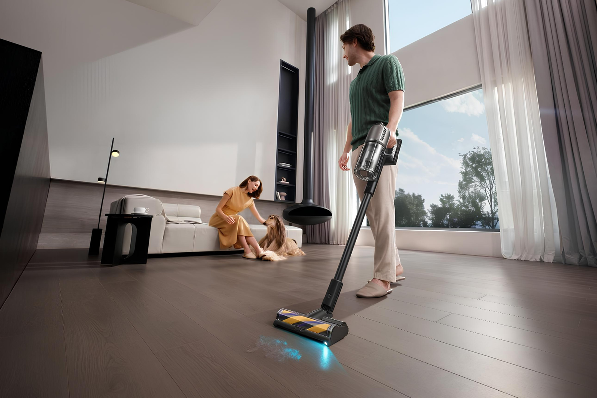 Источник: Dreame