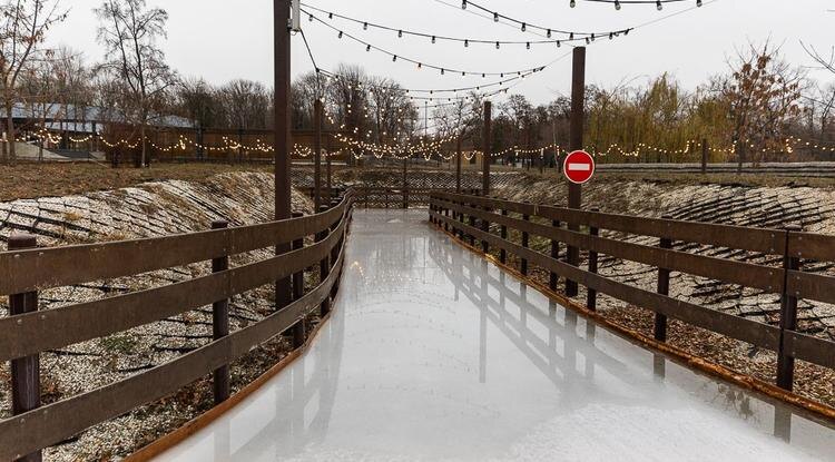 Фото: Алексей Дацковский
