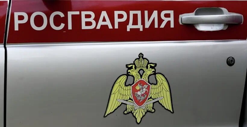     © РИА Новости. Илья Наймушин