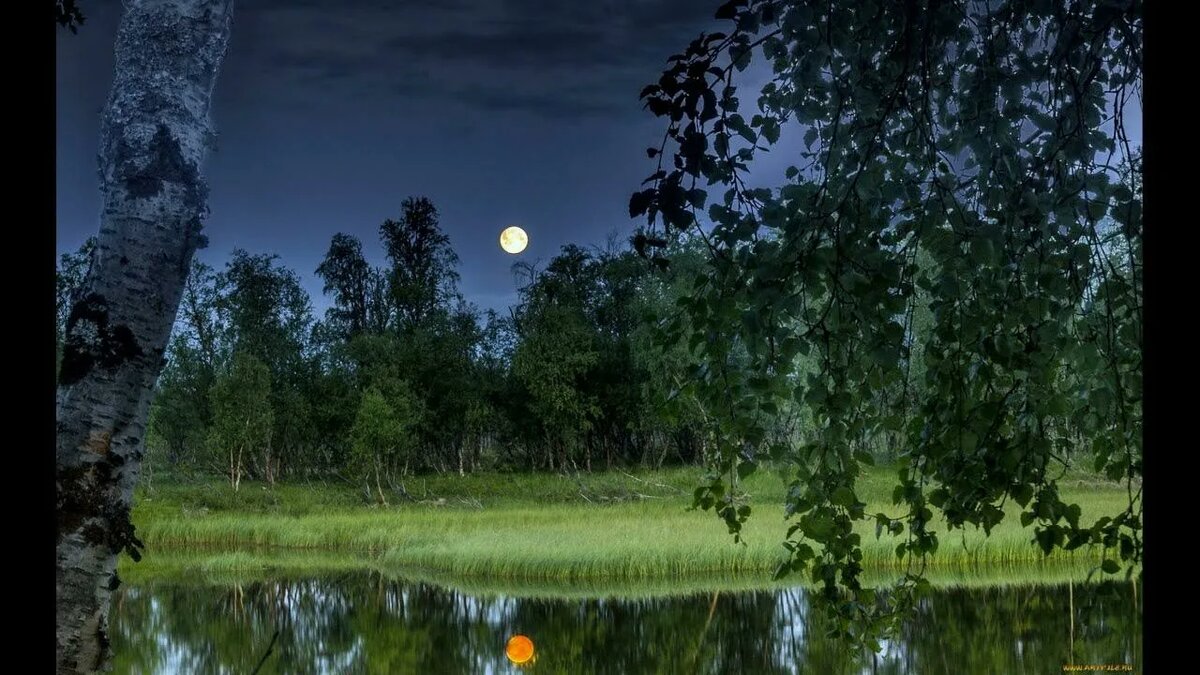 Из открытого доступа