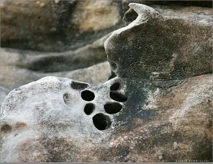 открые источники