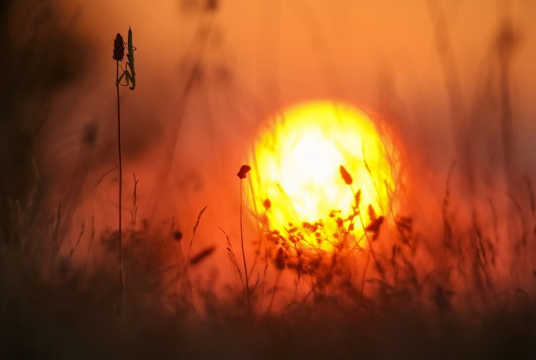 Мы почему-то всегда сопротивляемся естественному сну, а потом также упорно не хотим просыпаться.