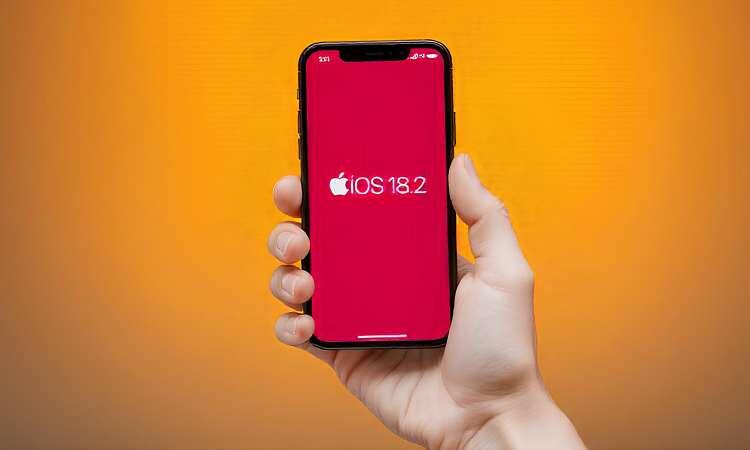    Изображение: freepik