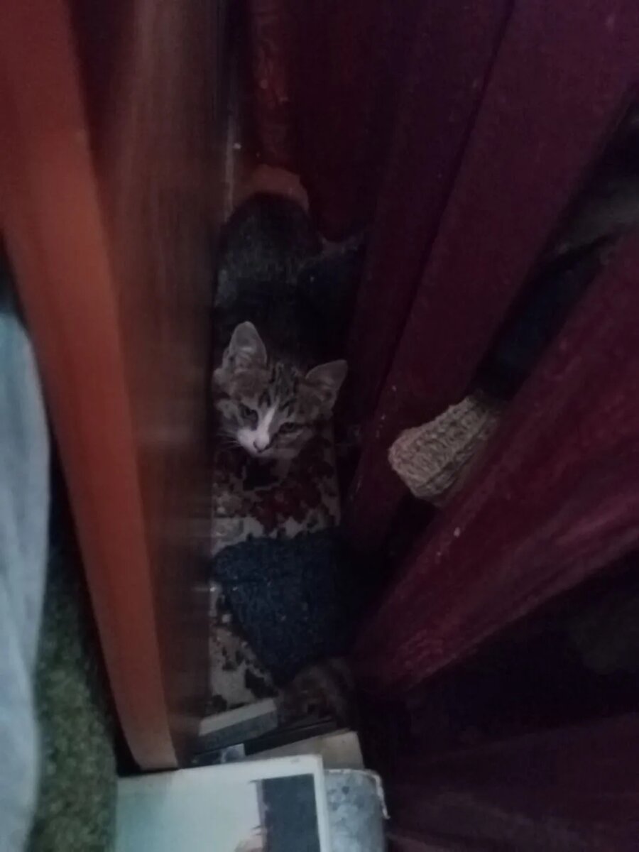 Пока только так сфотографировала.