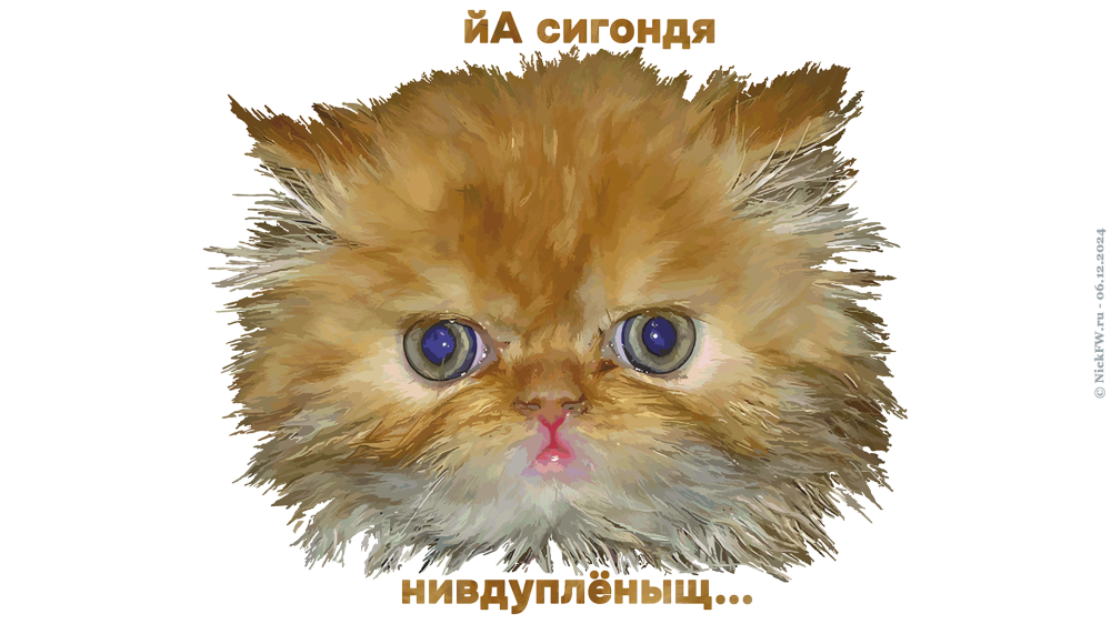 йА сигондя нивдуплёныщ... © NickFW.ru — 06.12.2024г.