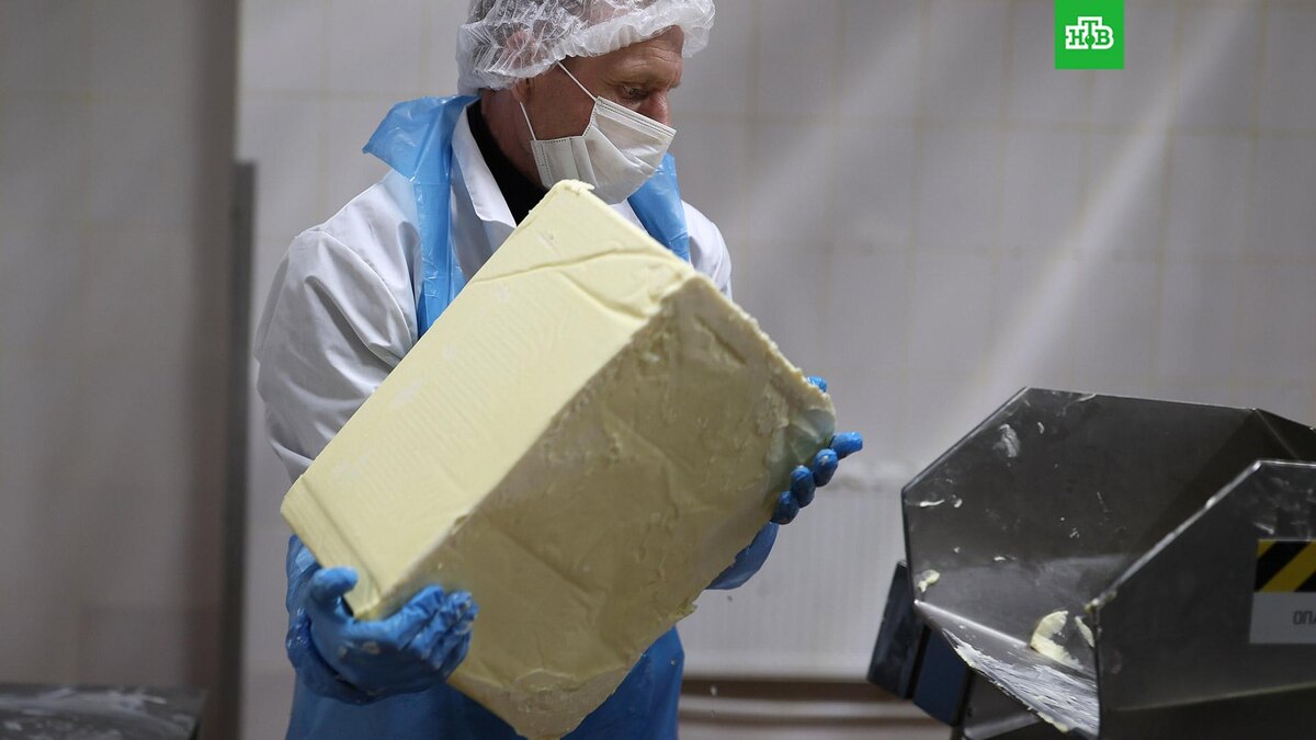    Фото: РИА Новости © 2024, Виталий Тимкив