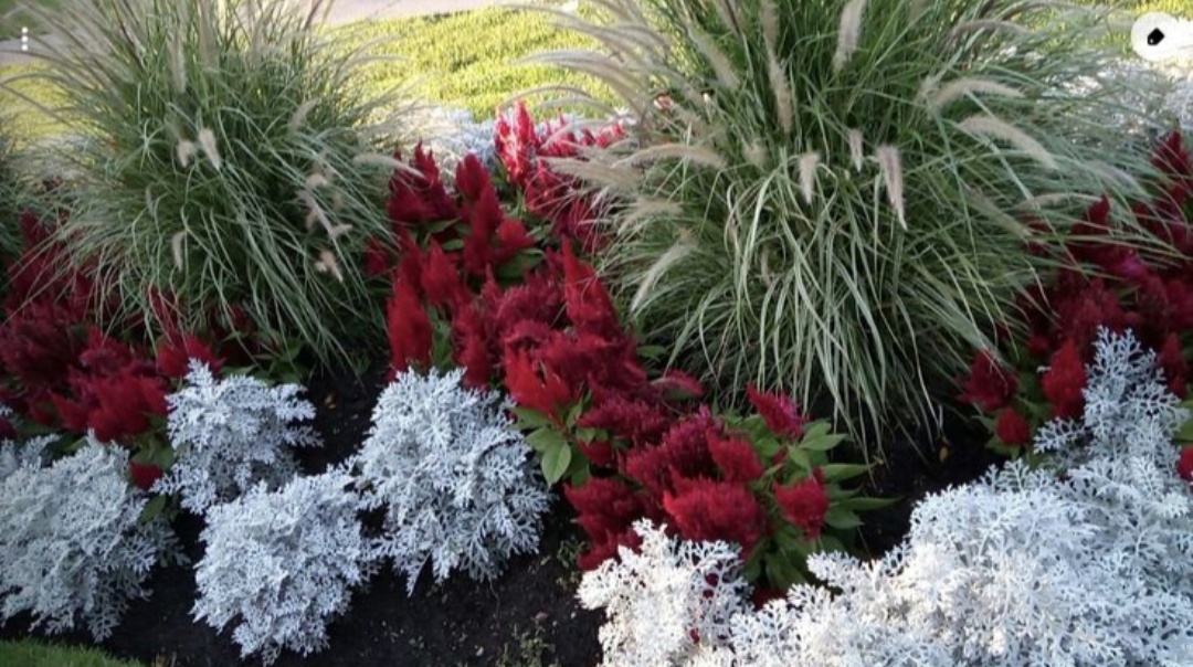 Фото Pinterest.com