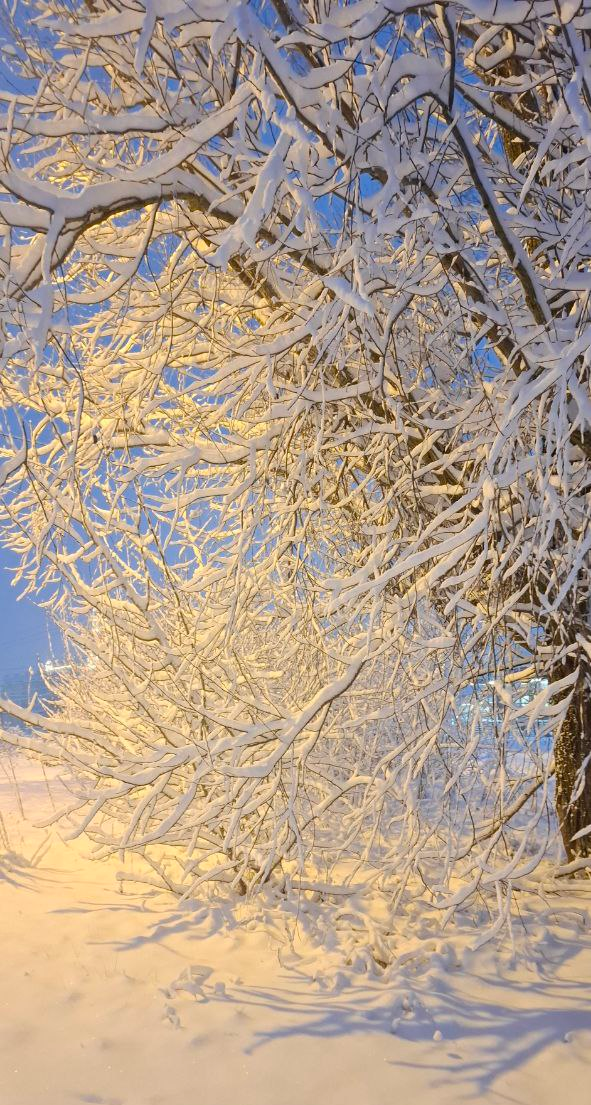 сли вам кто-то скажет, что в Петербурге мало снега зимой – не верьте. Всё у нас со снегом хорошо. Не зря Таривердиев посвятил любимому городу свою мелодию "Снег над Ленинградом".