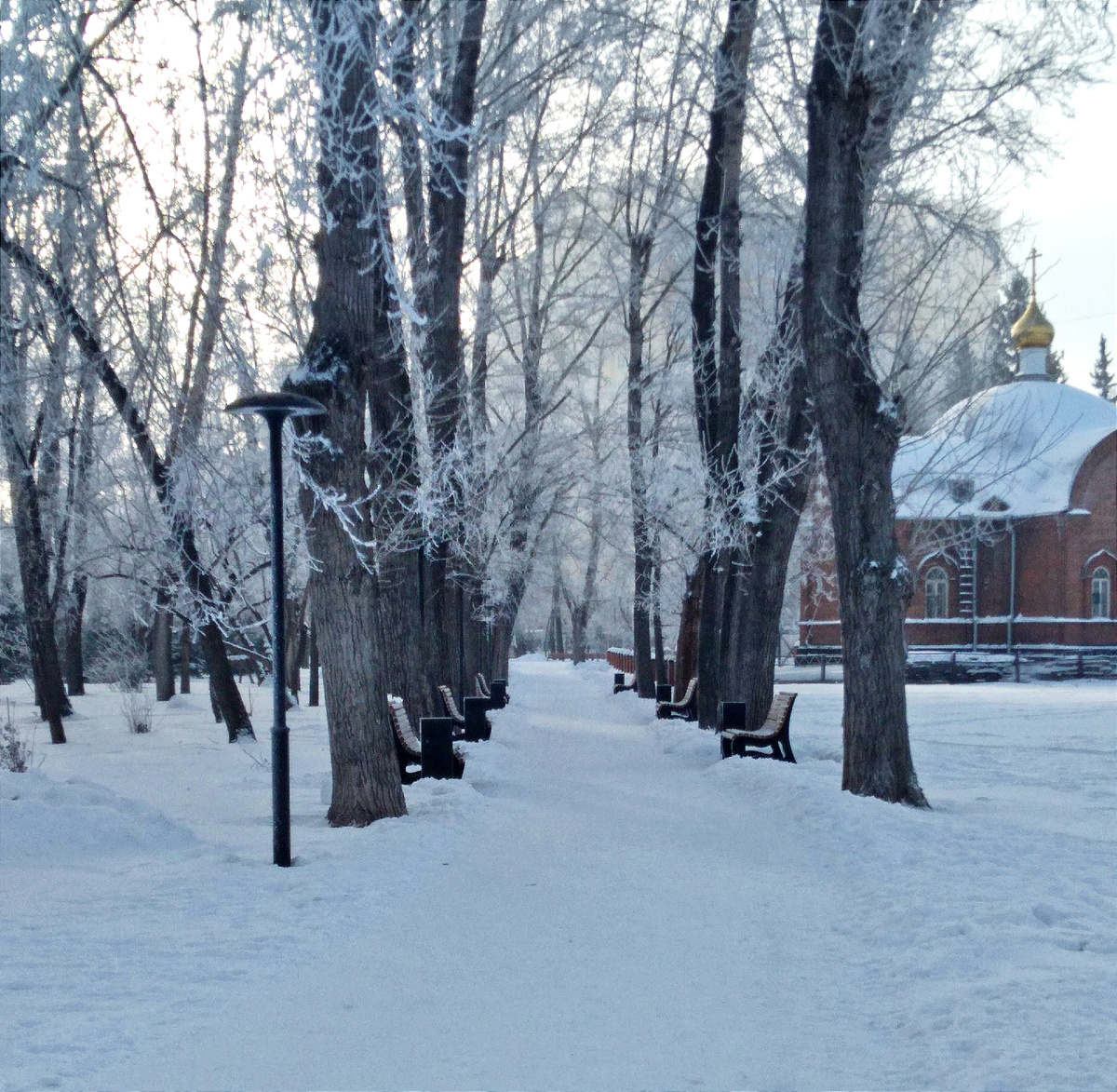 Где-то на просторах моего города. Фотография автора, ноябрь 2024 года. 