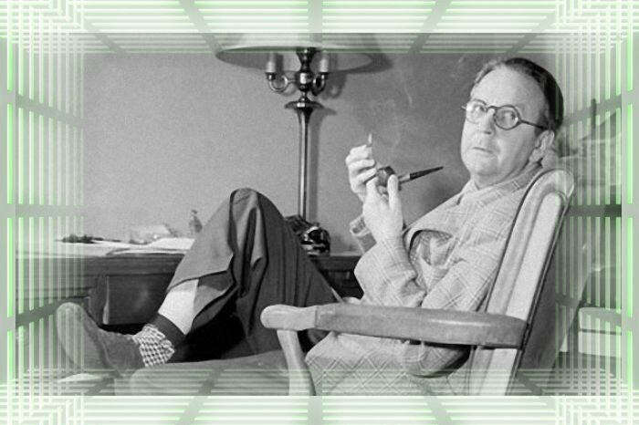 Фото взято из открытых источников