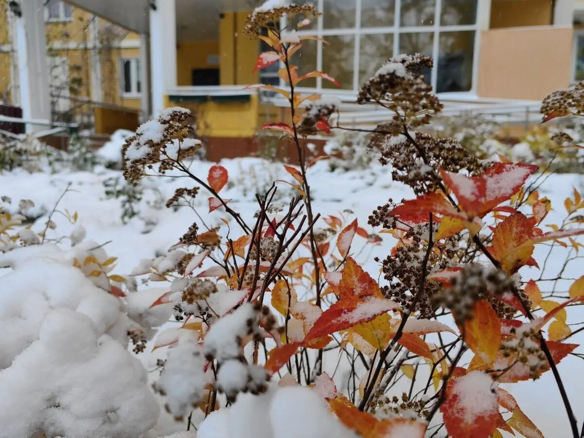     © "Интерфакс". Марина Леонова