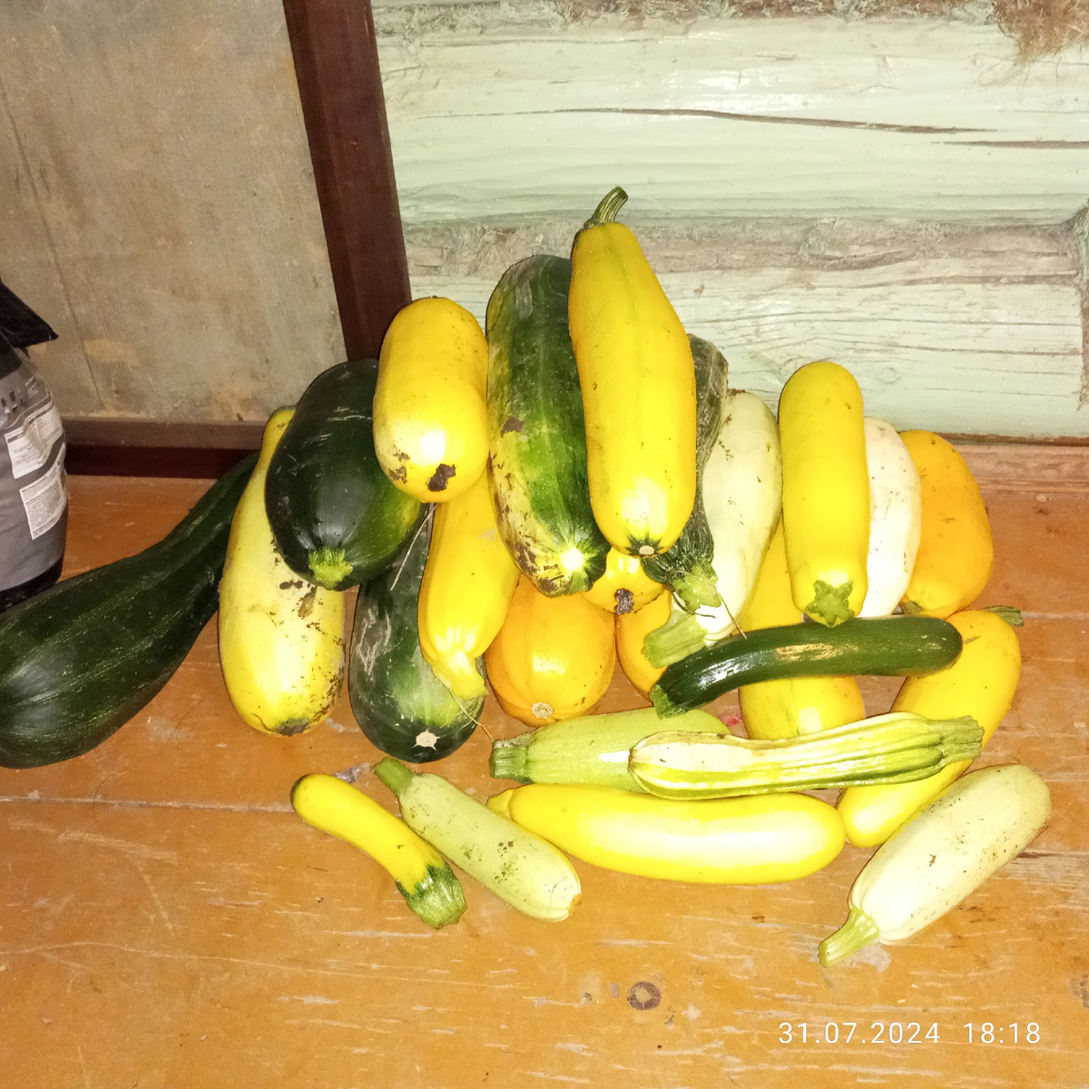 Фото автора. Кабачки тоже мои.