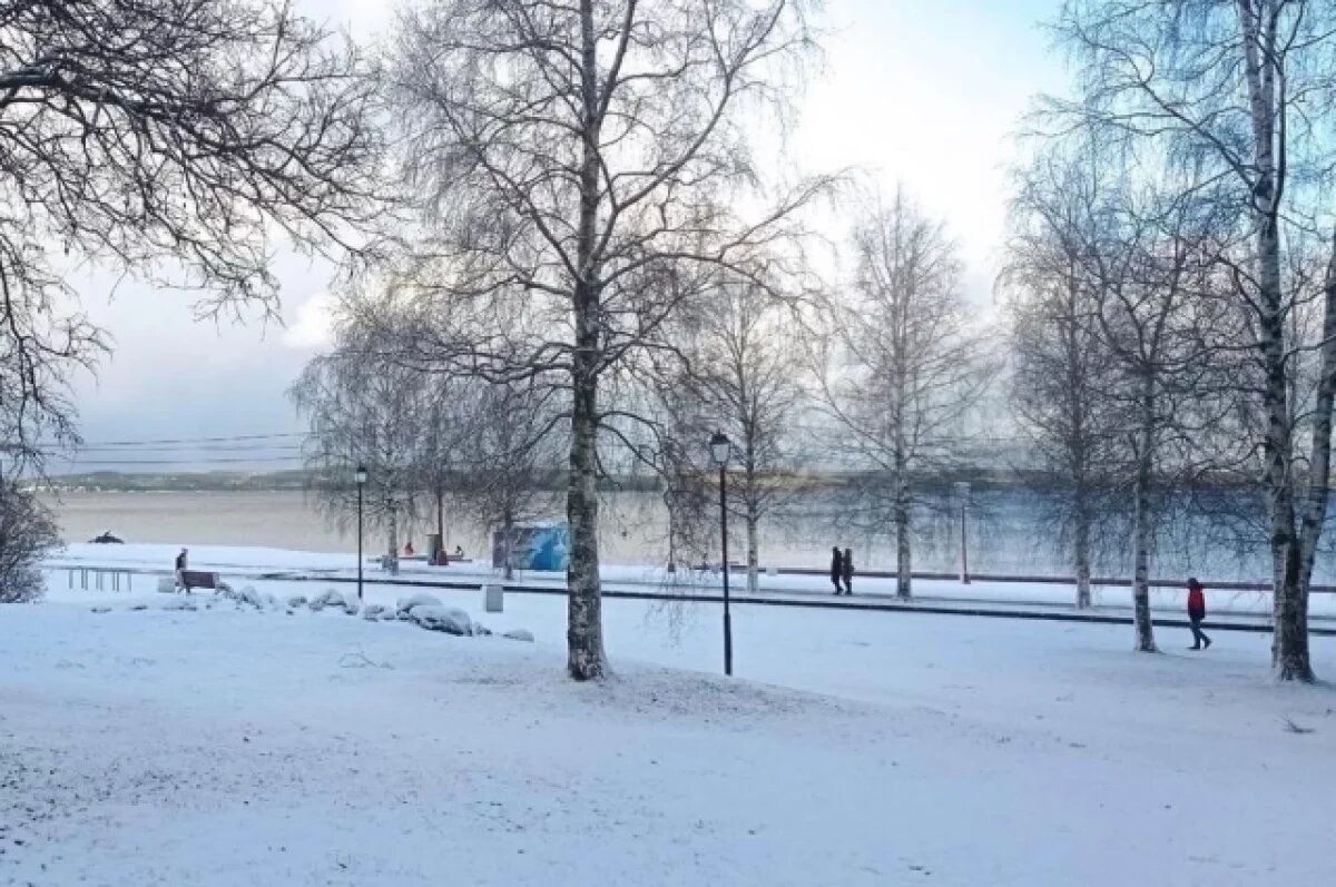    В Петрозаводске намерены изменить методику расчёта платы за снос деревьев и кустов.