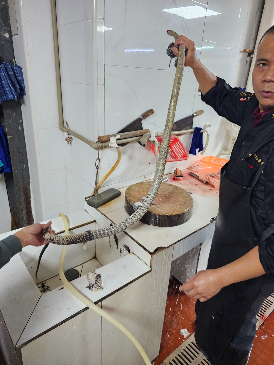 Рис.1 - Змея перед приготовлением