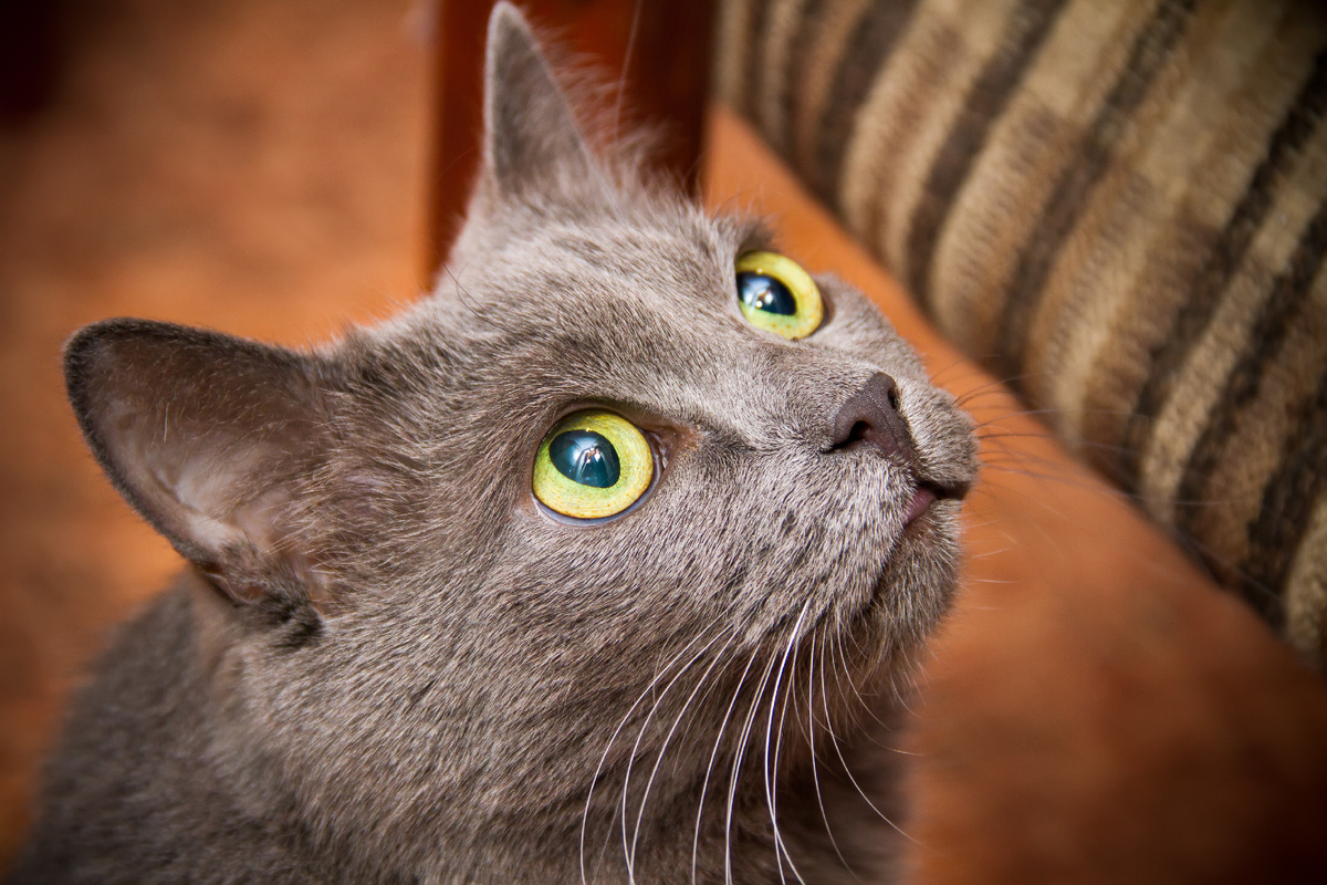 Ilya Galakhov/Global Look Press