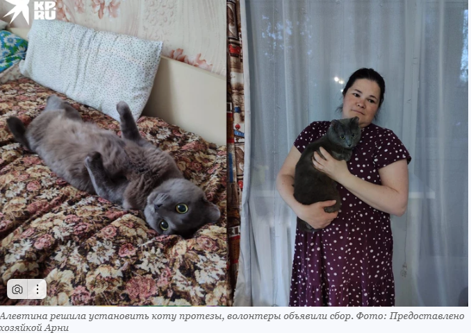 скриншот КП Новосибирск