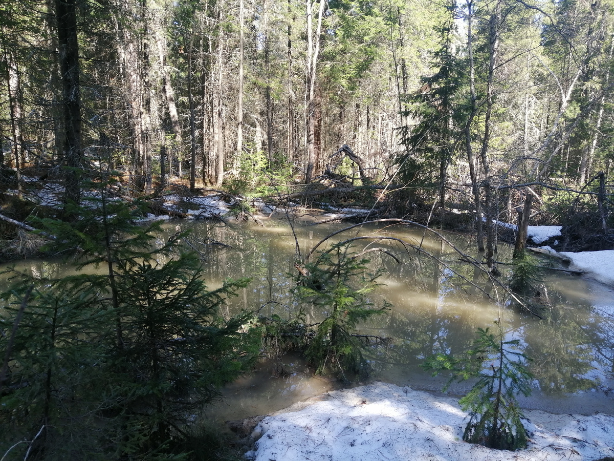 Таяние снега в Долине Ручьёв.