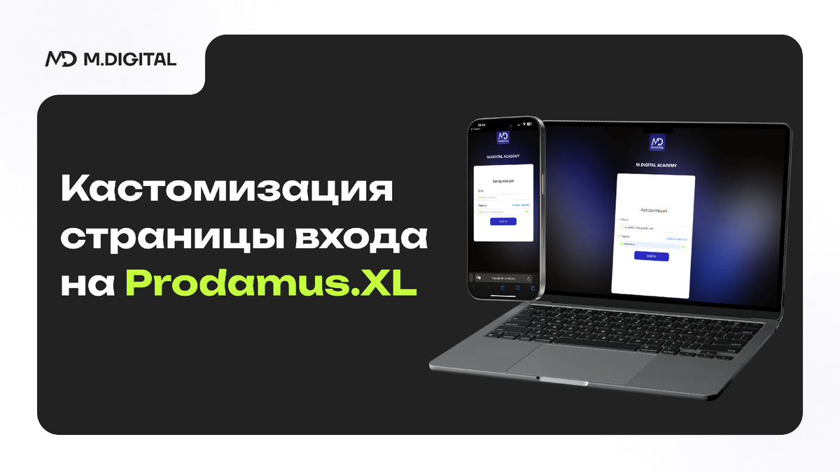 Кастомизация страницы входа на Prodamus.XL (AXL)