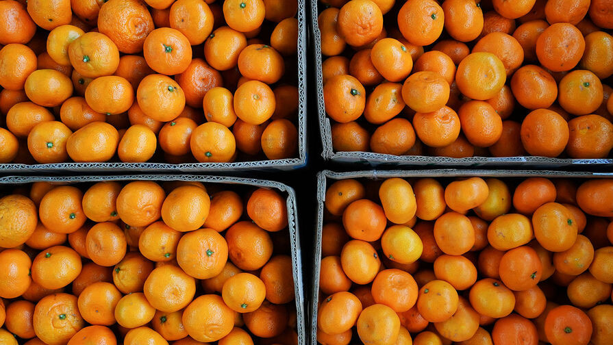 Артур Лебедев/РИА Новости 