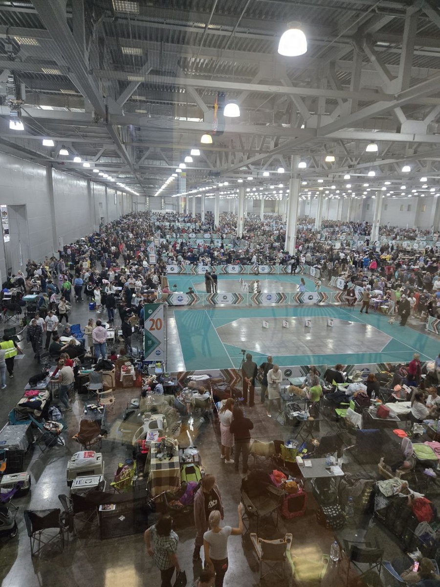 Кто все эти люди? Участники ежегодной выставки "Евразия"