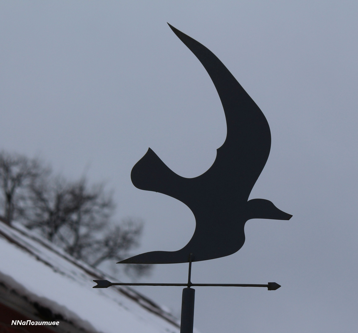 Улица Короленко