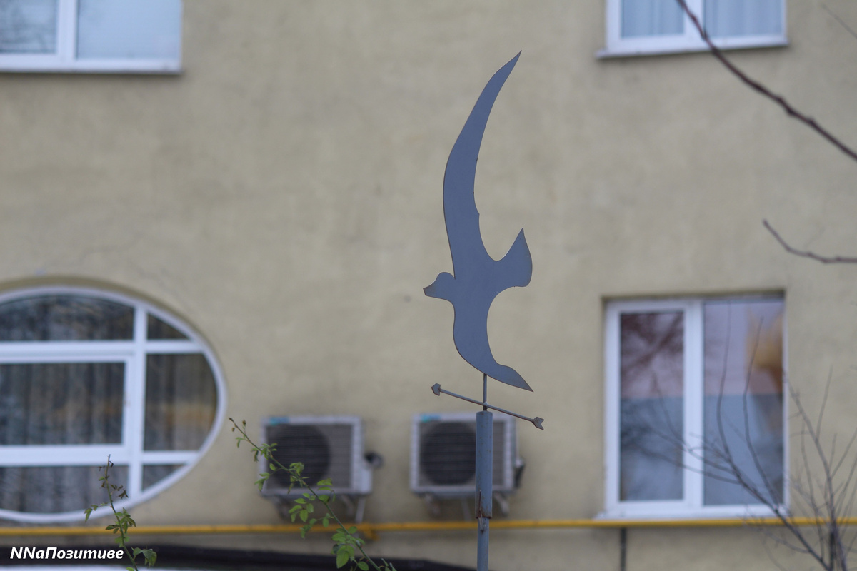 Улица Короленко