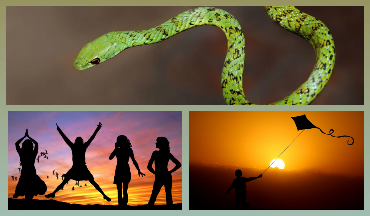 pixabay.com/Credits